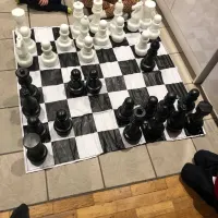 Giant Chess