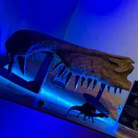 Travelling Dinosaur Museum