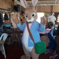 Peter Rabbit - Easter