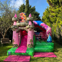 Princess Bouncy Castle With Rapunzel Tower Slide