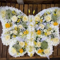 Pillows, Cushions And Butterflies