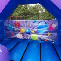 Front Slide Combi Party Theme Bouncy Castle