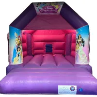 Pink And Purple Bouncy Castle 11ft X 15ft
