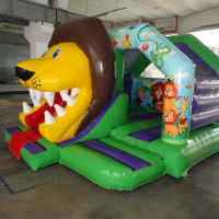 3d Jungle Front Slide Combi