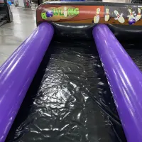 Inflatable Bowling Alley