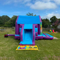 Jungle Themed Purple And Blue Bounce And Slide