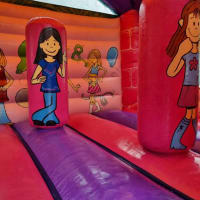 14ft X 16ft Pink N Funky Bounce And Front Slide