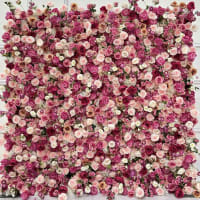Mixed Pinks Flower Wall
