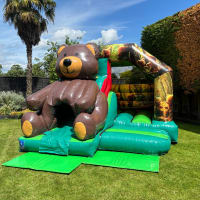 Teddy Bear Picnic Bouncy Castle