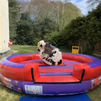 15ft X 15ft Rodeo Bull