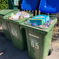 Bin Collection