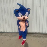 Sonic Mascot