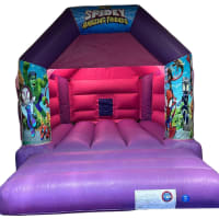 Pink And Purple Bouncy Castle 11ft X 15ft