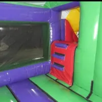 3d Lion Slide Bouncy Castle