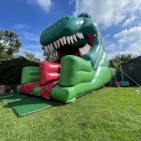 3d Dinosaur Mega Slide 10ft Platform