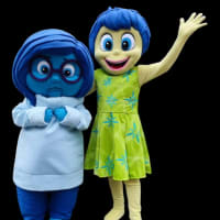 Sadness Mascot Hire