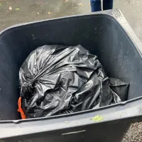 Bin Collection