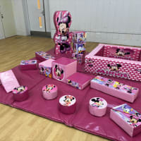 Minnie Mouse Soft Play