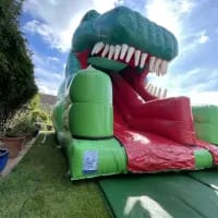 3d Dinosaur Mega Slide 10ft Platform