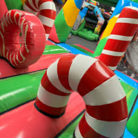 Candy Land Multi Play