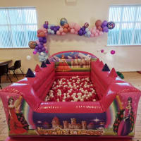 Princess Theme Air Juggler Ball Pool Sopley Parish Hall Sopley Christchurch Dorset
