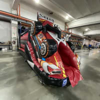 3d Unicorn And 3d Dinosaur With Slide 12ft X 18