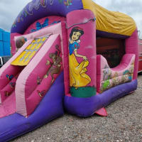 14ft X 20ft The Enchanted Princess Bounce And Front Slide