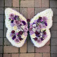 Pillows, Cushions And Butterflies