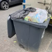 Bin Collection