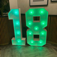 Light Up Number 18 Hire