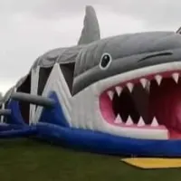 Shark Obstacle Course