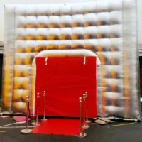 Silver Inflatable Nightclub Cube