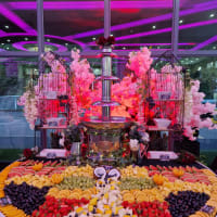 Chocolate Fountain And Fruit Combi Display