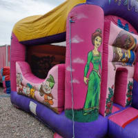 14ft X 20ft The Enchanted Princess Bounce And Front Slide