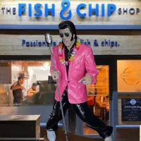 Elvis Statues To Hire