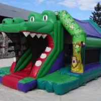 Crocodile Disco Castle