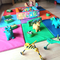 Woodland Animals Soft Play Package