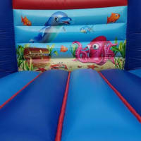 Any 2 Standard Party Bouncy Castles