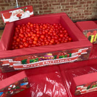 Christmas Soft Play