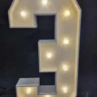 Number Lights 4ft 0-9 Available