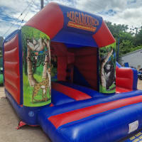 15ft X 15ft Jungle Themed Bouncy Castle