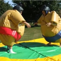 Sumo Suits Adults And Childrens
