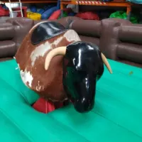 Rodeo Bull