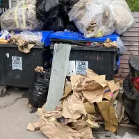 Bin Collection