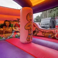 14ft X 20ft The Enchanted Princess Bounce And Front Slide