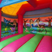 14ft X 16ft Princess Palace Bounce And Slide