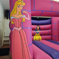 Princess Theme Combi Castle With Slide