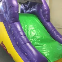 Digby Dragon Slide