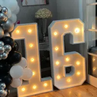 2 Led Numbers