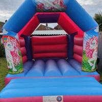 Pink And Blue Bouncy Castle